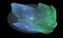 Fractal Flame 138 - Petals