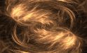 Fractal Flame 263 - Abstract