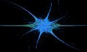 Fractal Flame 54 - Neuron