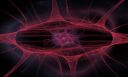 Fractal Flame 161 - Abstract