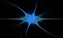 Fractal Flame 54 - Neuron